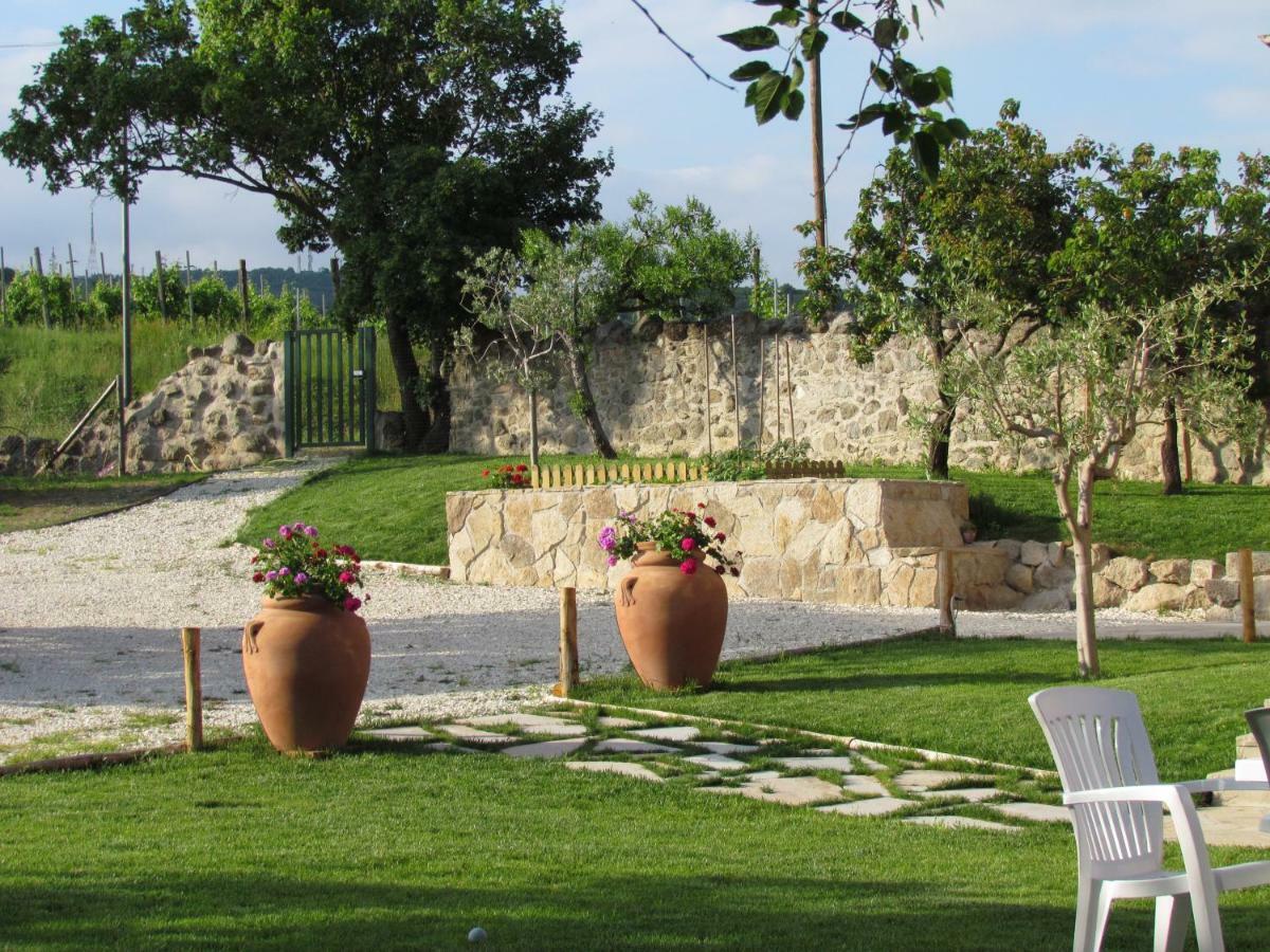 I Grilli B&B Baone Exteriér fotografie