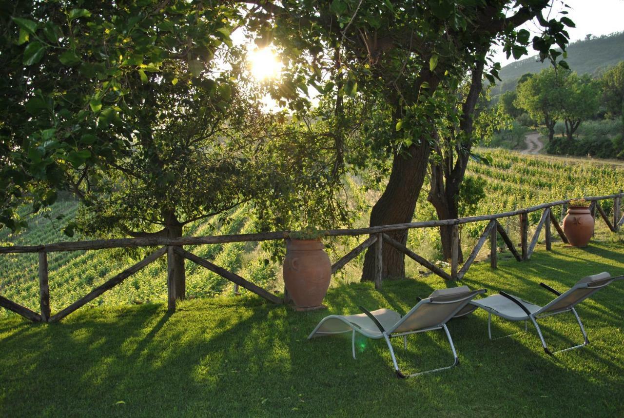 I Grilli B&B Baone Exteriér fotografie