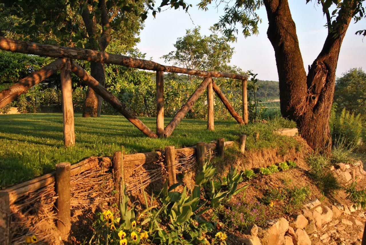 I Grilli B&B Baone Exteriér fotografie
