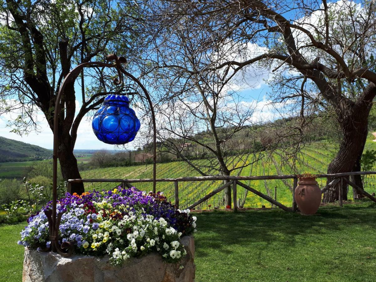 I Grilli B&B Baone Exteriér fotografie