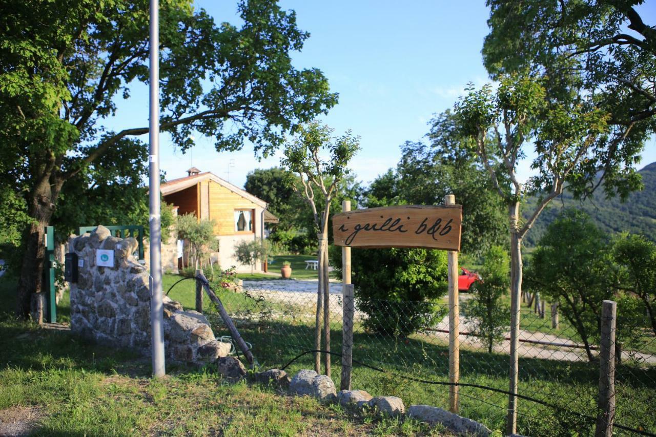 I Grilli B&B Baone Exteriér fotografie